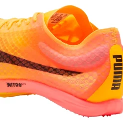 EVOSPEED DISTANCE NITRO ELITE+ 4 SPIKSKOR