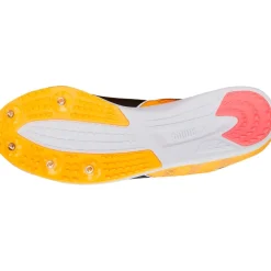 EVOSPEED DISTANCE 11 SPIKSKOR