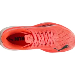 VELOCITY NITRO 3 LÖPARSKOR