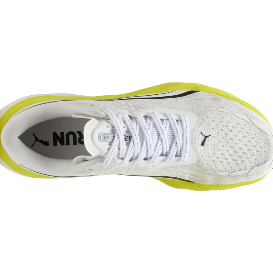 VELOCITY NITRO 4 LÖPARSKOR